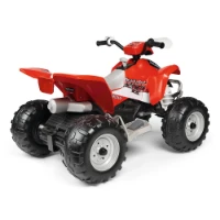 Quad Polaris Outlaw 330W 12 Volt
