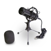 Bontempi Microfono Professionale a Condensatore