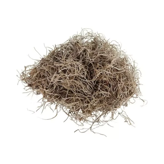 My Village Muschio Spagnolo Naturale 500 gr