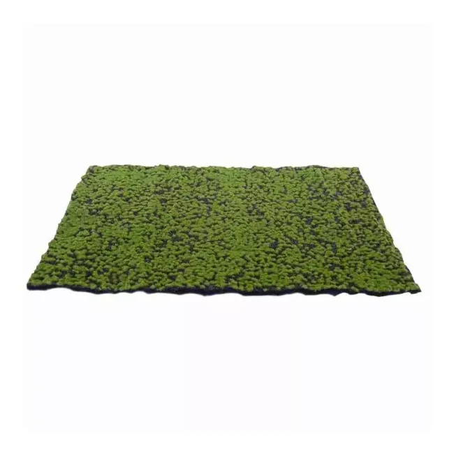 Paniate - My Village Tappeto di Muschio Artificiale Verde-Marrone 70 x 50 cm