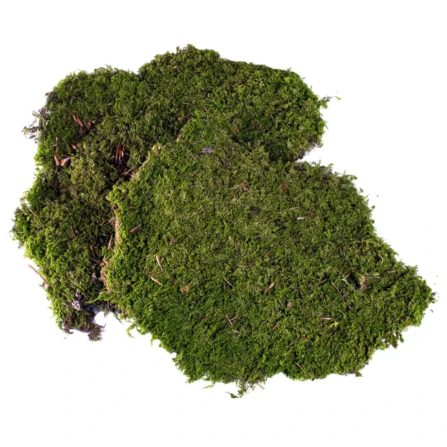 Muschio Artificiale 200g - Verde Scuro E Chiaro Per Decorazioni Fai Da Te, Presepi E Giardini - Foto 7