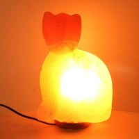 Lampada di Sale con Base in Legno Gatto