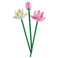 LEGO Botanical Collection Fiori di Loto 40647