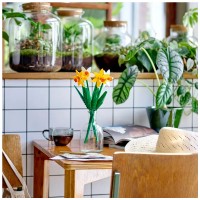 LEGO Botanical Collection Narcisi 40747