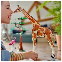 LEGO Creator 3in1 Animali del Safari 31150