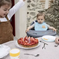 Bebeconfort Seggiolone Pappa Meely - dai 6 mesi ai 3 anni