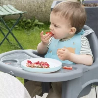 Bebeconfort Seggiolone Pappa Meely - dai 6 mesi ai 3 anni
