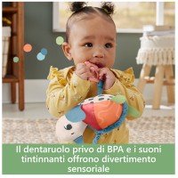 Fisher-Price Amici del Pianeta Tartarughina Sempre con Me