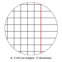 Blasetti Confezione 20 Fogli Protocollo Rigatura Q