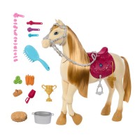 Barbie Cavallo