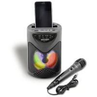 Bontempi Amplificatore Wireless con Microfono e Luci RGB