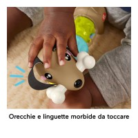 Fisher Price Bassotto Gira e Gioca 