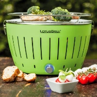Grill portatile verde USB