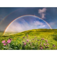 Ravensburger Puzzle Paesaggio con Arcobaleno 1500 pezzi
