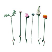 LEGO Botanical Collection Bouquet di Fiori Rosa 10342