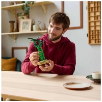 LEGO Botanical Collection Bambù del Buon Auspicio 10344