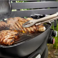 Immagine di Weber Barbecue a Gas Q 3200N+