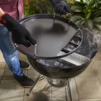 piastra_57cm_weber