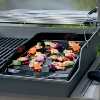 Immagine di Weber Piastra in Ghisa Smaltata per Serie Spirit 300
