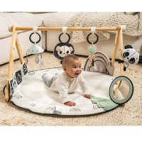 Tiny Love  Palestrina Luxe Gymini Black and White Decor