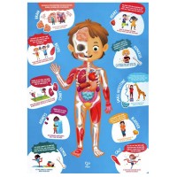 Hape Puzzle Corpo Umano