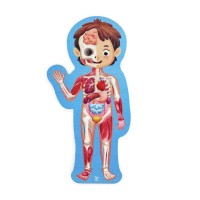 Hape Puzzle Corpo Umano