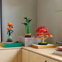 Lego Bonsai di Acero Giapponese - 10348