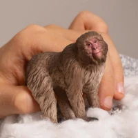 schleich wild life  macaco giapponese - 2514871