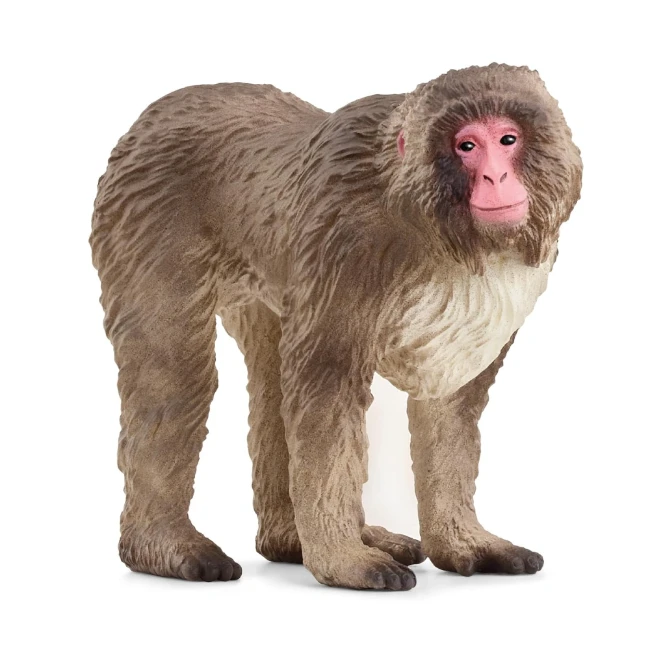 schleich wild life  macaco giapponese - 2514871