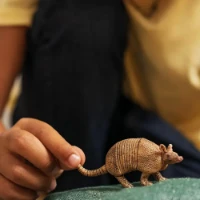 Schleich Wild Life Armadillo 14874