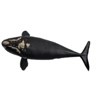 Schleich Wild Life Balena Franca Nordatlantica  14878 