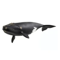 Schleich Wild Life Balena Franca Nordatlantica 14878