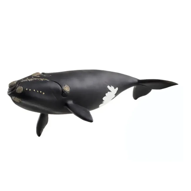 Schleich Wild Life Balena Franca Nordatlantica 14878