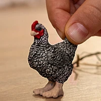 Schleich Farm World Gallina Plymouth Rock  13997