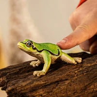 Schleich Wild Life Raganella Europea  14882