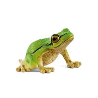 Schleich Wild Life Raganella Europea  14882