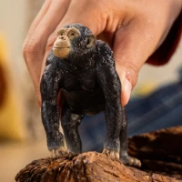 Schleich Wild Life Scimpanzé  14883