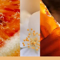 Immagine di Yankee Candle Signature Candela in Giara Grande Glistening Leaves 90 Ore