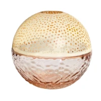 Immagine di Maison Berger Lampada Catalitica Gravity Nude
