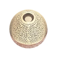 Immagine di Maison Berger Lampada Catalitica Gravity Nude
