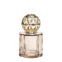 Immagine di Maison Berger Lampada Catalitica Pomelis Nude con Ricarica Splendeur Vanillée 250 ml