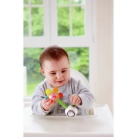 	Hape Sonaglio a Fiore Scintillante