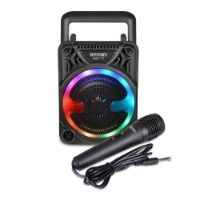 Wireless Speaker con Microfono e Luci RGB