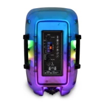 Altoparlante Wireless RGB con Microfono e Funzione TWS