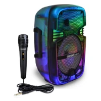 Altoparlante Wireless RGB con Microfono e Funzione TWS