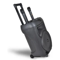 Trolley Amplificatore Wireless con 2 Microfono Wireless