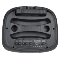 Trolley Amplificatore Wireless con 2 Microfono Wireless
