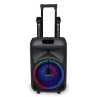 Trolley Amplificatore Wireless con 2 Microfono Wireless