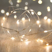 Catena di Luci 100 nanoLED Bianco Caldo a Batteria con Timer - Cavo di Metallo 5m per Decorazioni Natalizie	