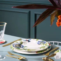 Villeroy & Boch Set 6 pezzi Amazonia Anmut Piatto Piano Ø28 cm